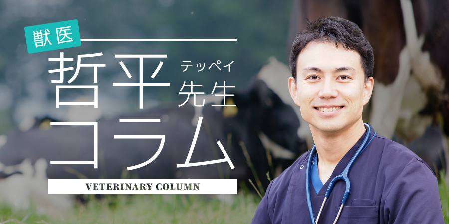 分娩の管理(1) - 最高のゴールを迎え最良のスタートをきる