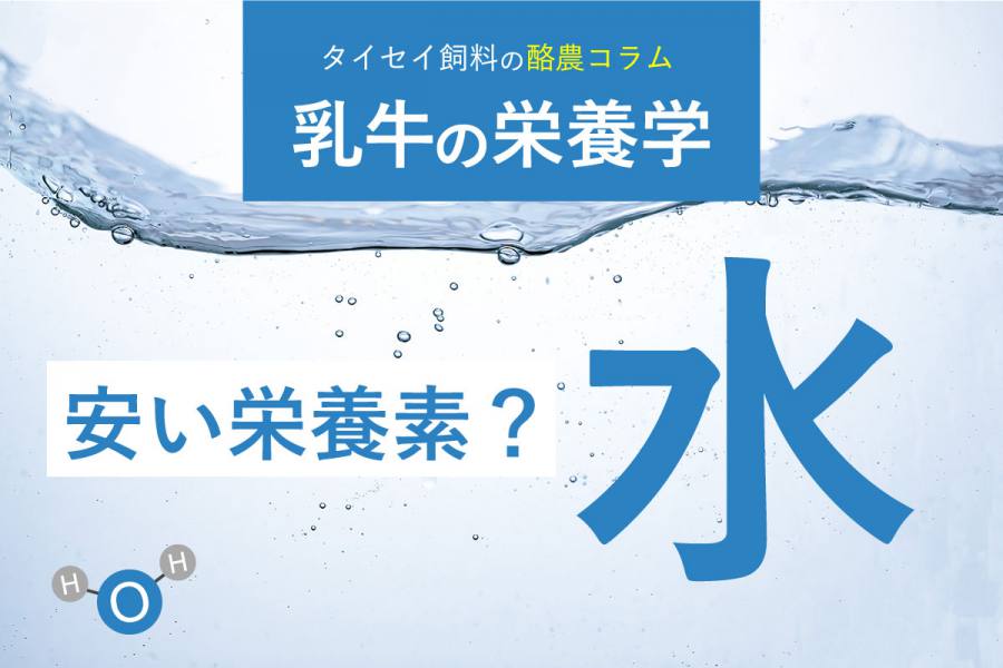 酪農コラム /「水-安い栄養素?(1)」