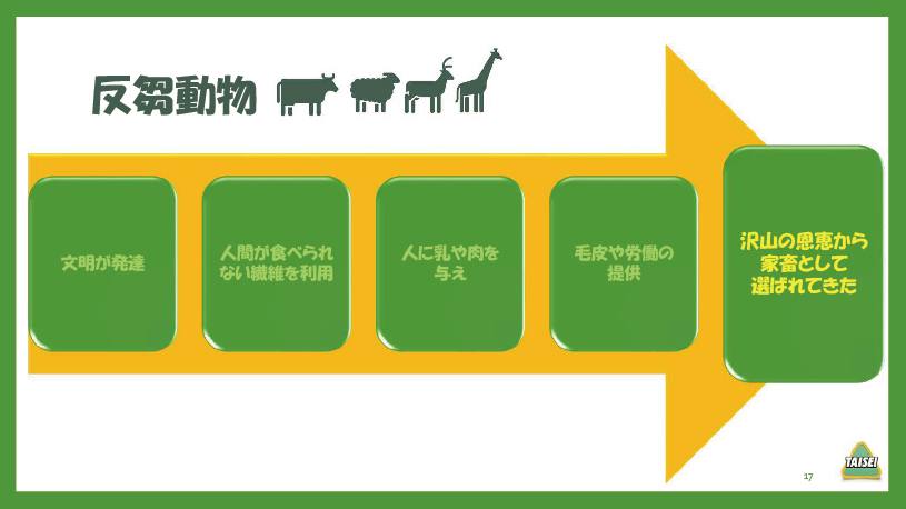 酪農コラム ／「炭水化物～繊維と乳牛の健康」（1）
