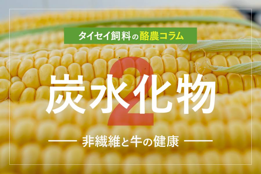 酪農コラム/「炭水化物2~非繊維と牛の健康(最終回)」