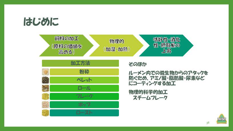 酪農コラム/「炭水化物3~飼料の加工とデンプンの消化(1)」