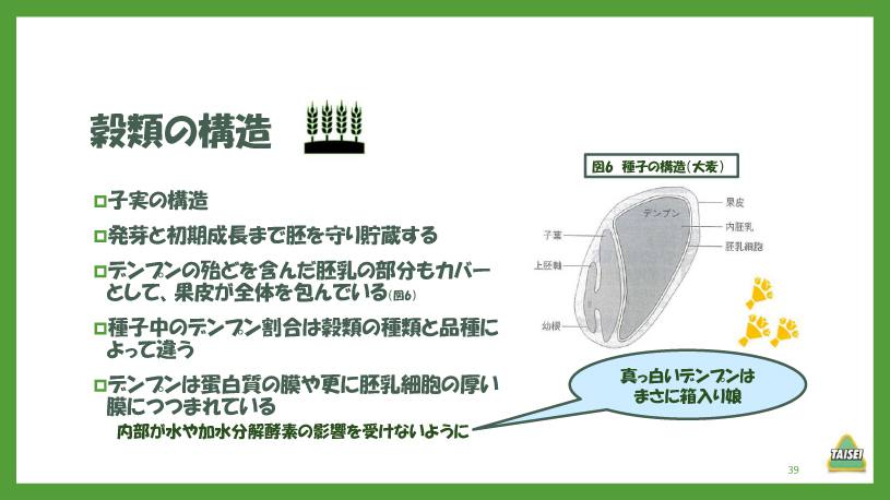 酪農コラム/「炭水化物3~飼料の加工とデンプンの消化(1)」