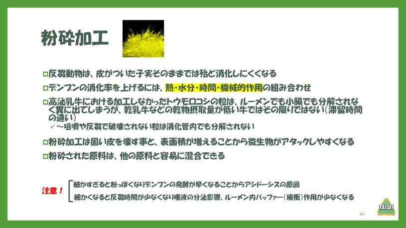 酪農コラム/「炭水化物3~飼料の加工とデンプンの消化(1)」
