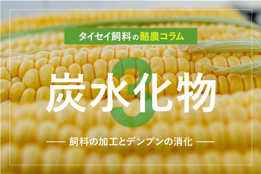 酪農コラム/「炭水化物3~飼料の加工とデンプンの消化(2)」