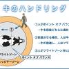 獣医コラム／肢蹄病の原因と予防(23)- 肢蹄の病気について