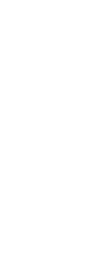 挑戦。