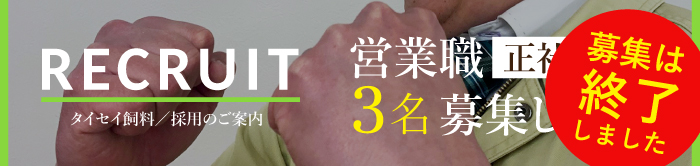 採用のご案内